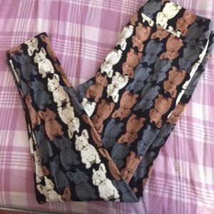 LuLaRoe TC French BullDog Leggings